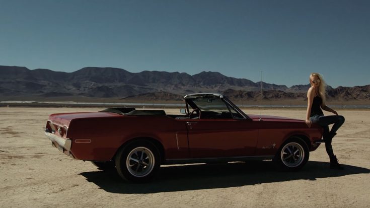 Video Production – Online website Promo Video